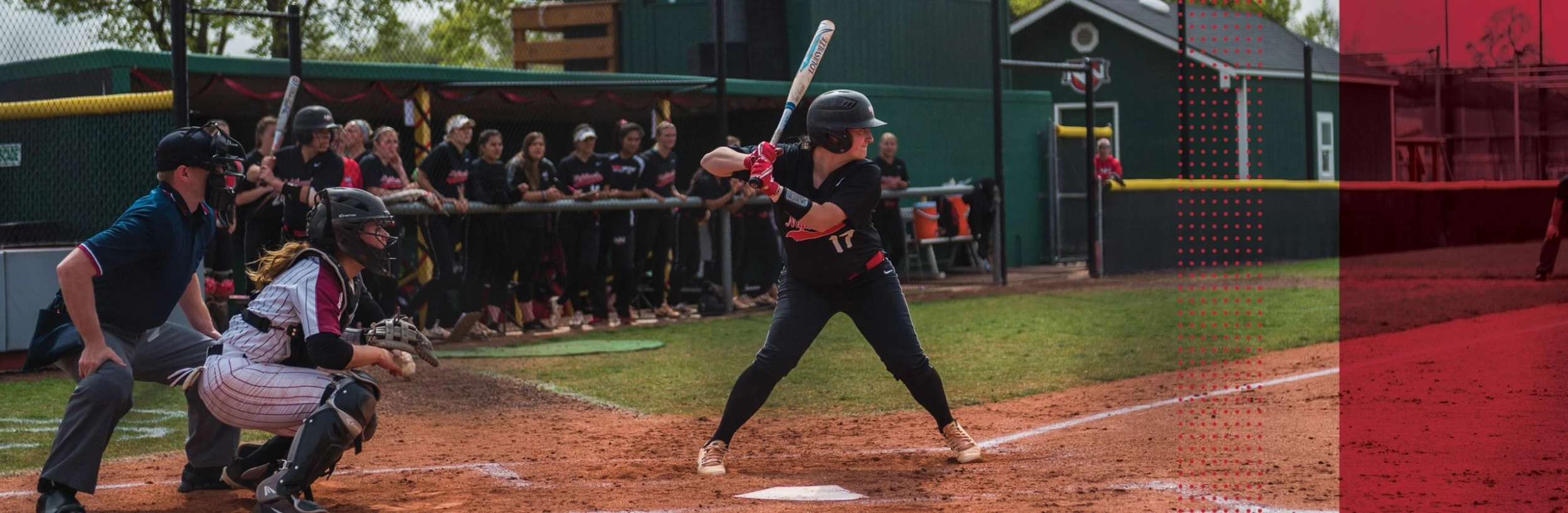 Gloves Sales Store -Gloves Sales Store softball banner scaled